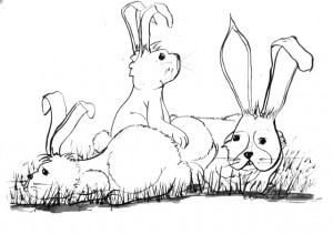 bunnies