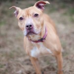 022512_Cassie_02