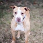 022512_Cinnamon_03