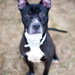 022512_Dawson_03