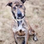 022512_Frankie_04