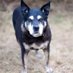 022512_Katie_01