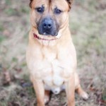 Rusty I need a loving home!