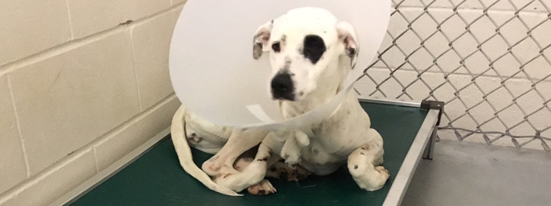 The John and Christine Tortorella Family Foundation | The John and