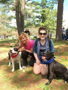 Champ and Suki joined in at the SPCA of Westchester's Annual Walkathon to help raise money for their former home. Champ & Suki have both been adopted!
