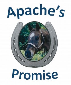 apaches_promise_log