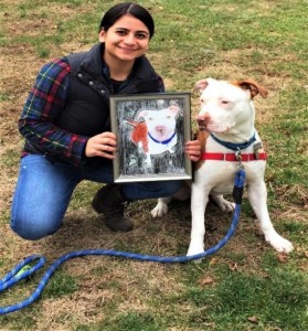 Saved from an abusive situation, Johnny is an example of a dog who benefitted greatly from The Way Home Program. 