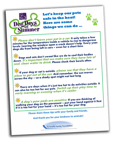 dog-day-summer-flyer