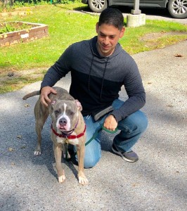 Safe and sound at the SPCA of Westchester. 