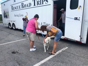 The Rescue Road Trip Truck