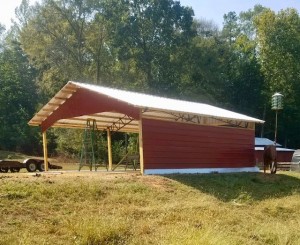 Physical shelter for the animals of Yellow Rabbit Rescue