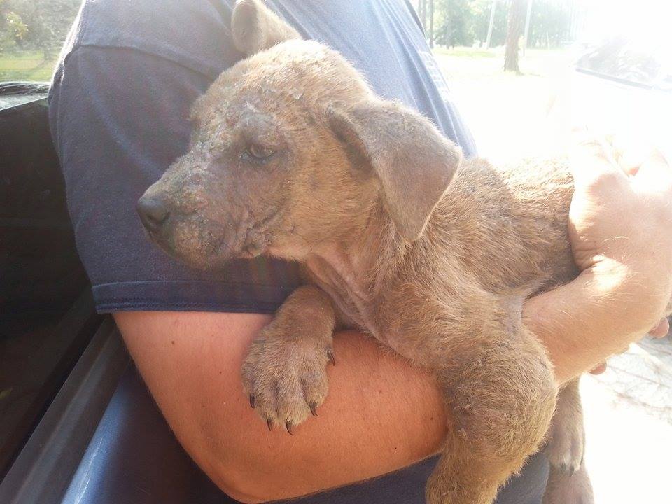 New Angels Willie & Eden are Doing Better Than Expected!