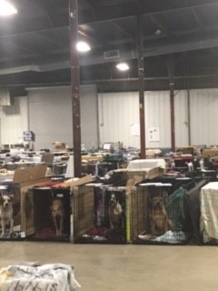 Help is Given to Houston’s Displaced Pets!