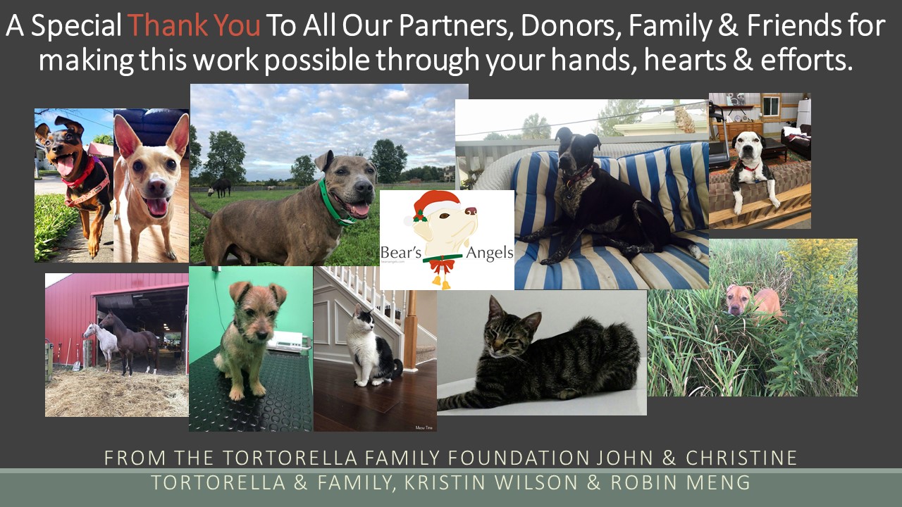 The 2018 Tortorella Family Foundation Year In Review!