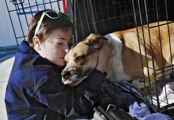 Columbus Dispatch: Puppy Mill Law in Ohio Has Made Heroes of Dog Rescue Teams