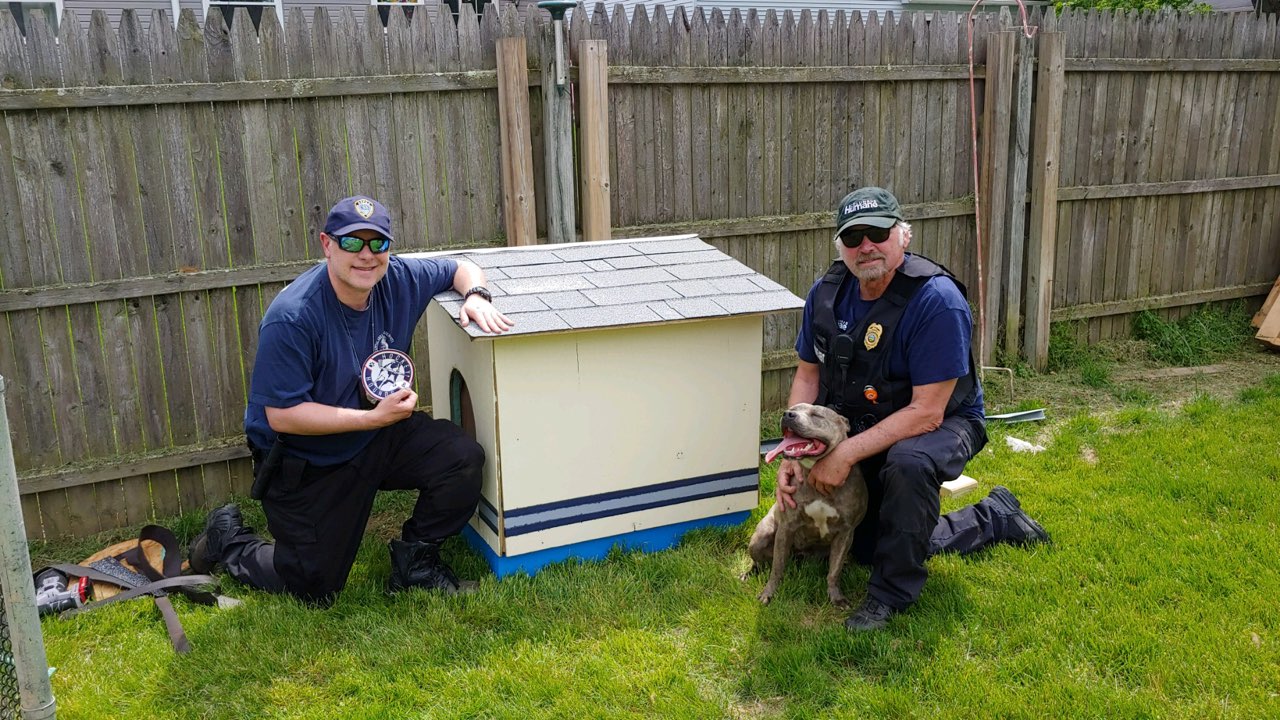 Volunteers Come Together to Build Dog Houses